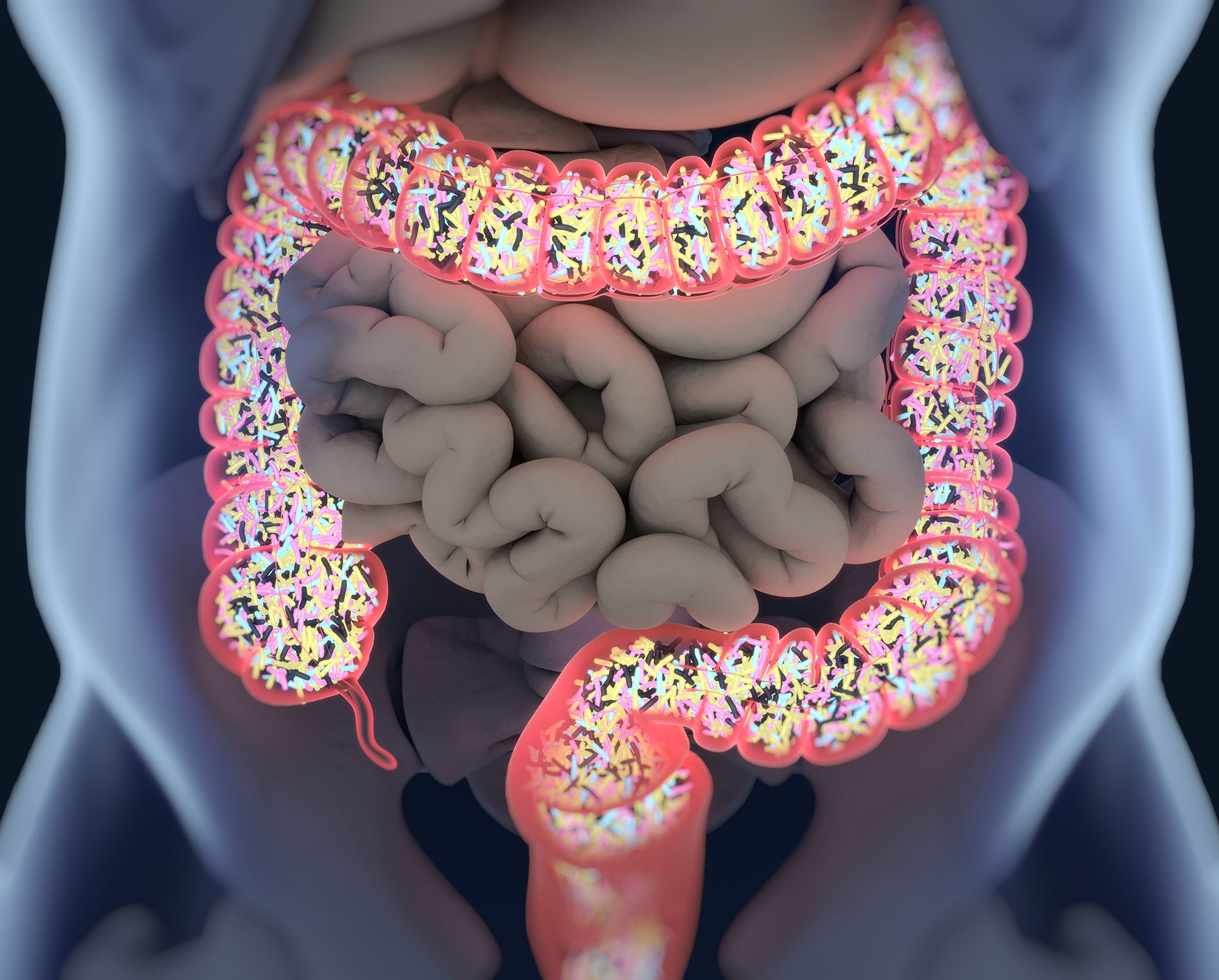 Illustration-showing-Healthy-Balance-of-Intestinal-Flora-Cellular-Health,-and-Immune-Health